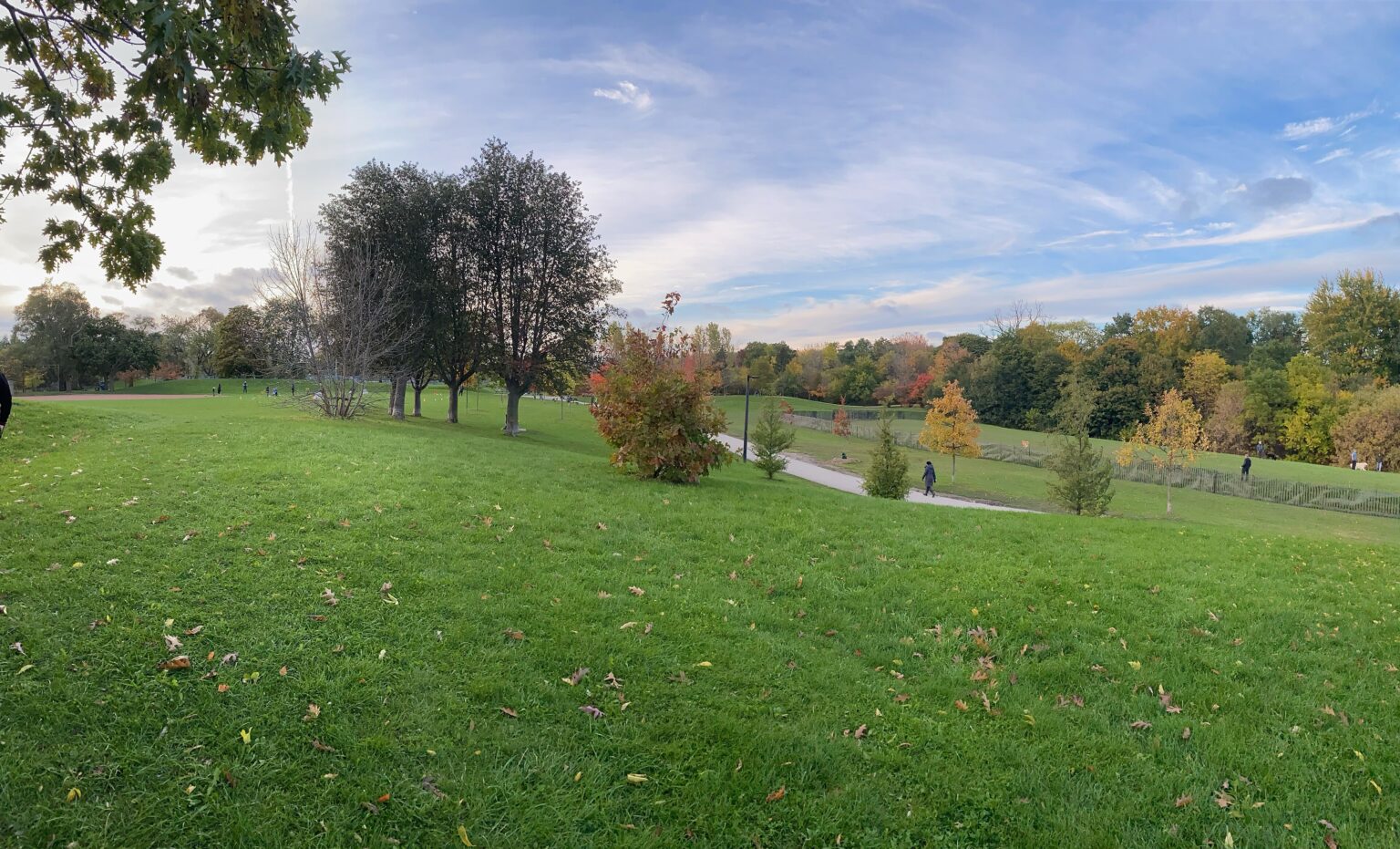 Cedarvale Ravine in autumn, near Bathurst and St. Clair