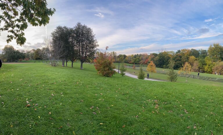 Cedarvale Ravine in autumn, near Bathurst and St. Clair
