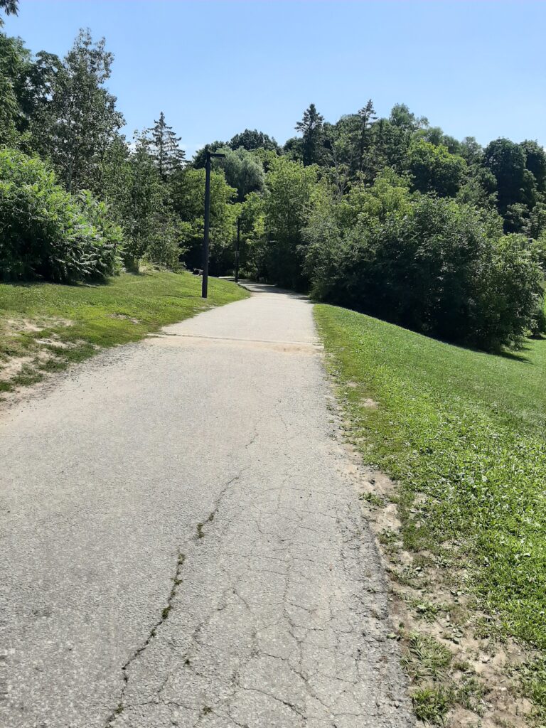 A trail into Cedarvale Ravine