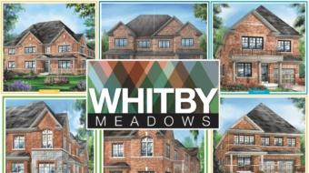 Whitby Meadows by Fieldgate Homes – pre-construction project